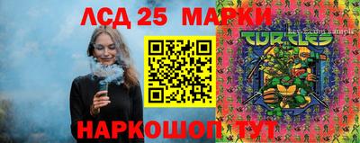 гашик Сланцы