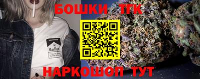 гашик Сланцы