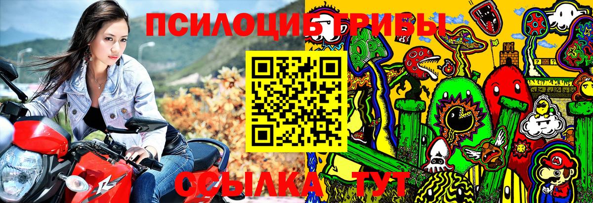 Галлюциногенные грибы прущие грибы  Вход с VPN  Нурлат  Галлюциногенные грибы MAGIC MUSHROOMS 