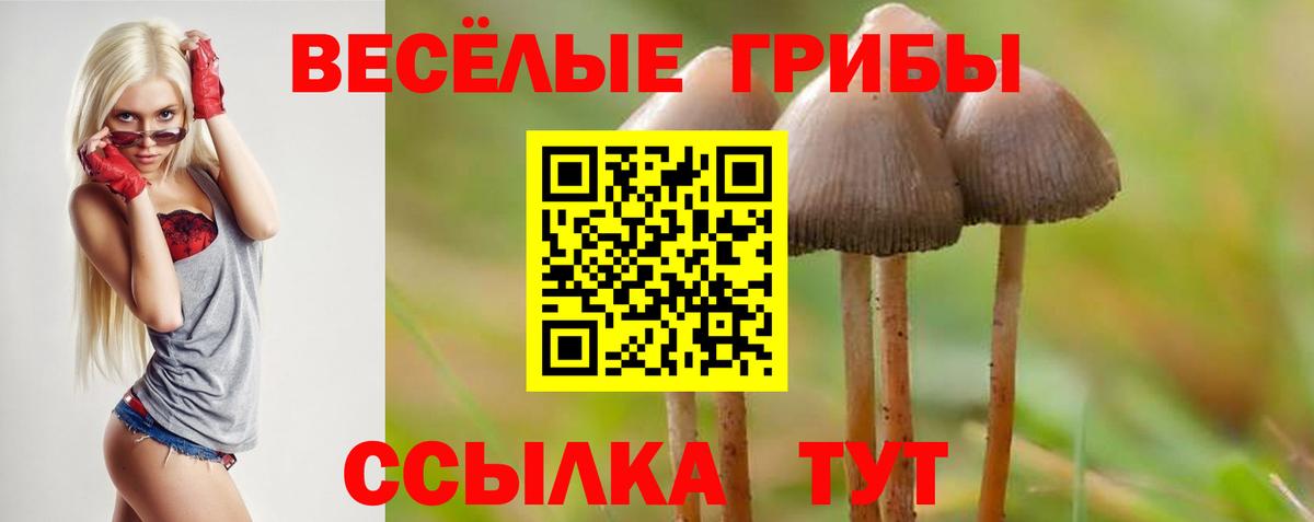 Псилоцибиновые грибы прущие грибы Нурлат